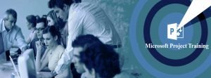 Microsoft Project®Training