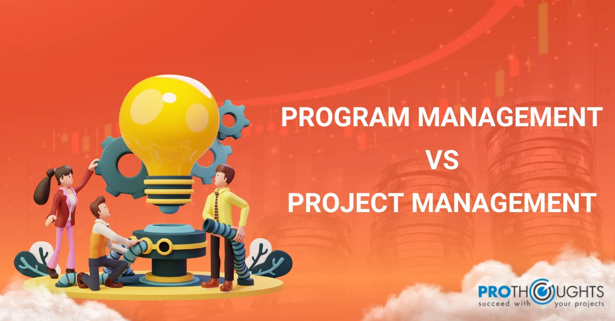 Program Management vs Project Management