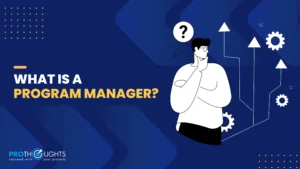 What Is A Program Manager?