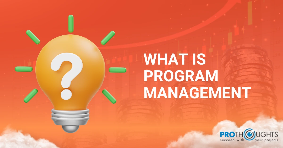 What is Program Management